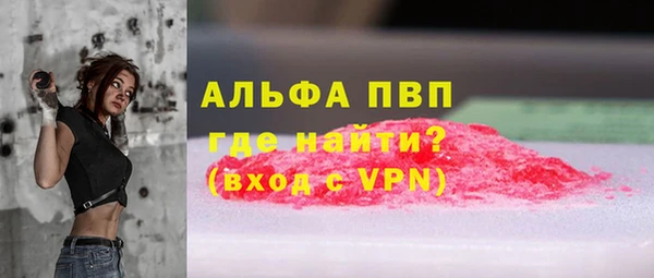 гидра Магас