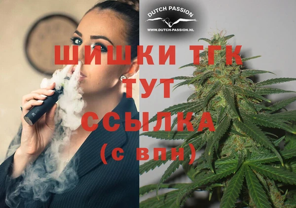 гидра Магас