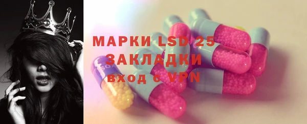 гидра Магас