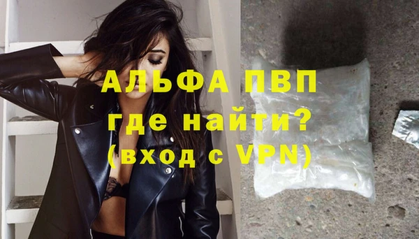 гидра Магас