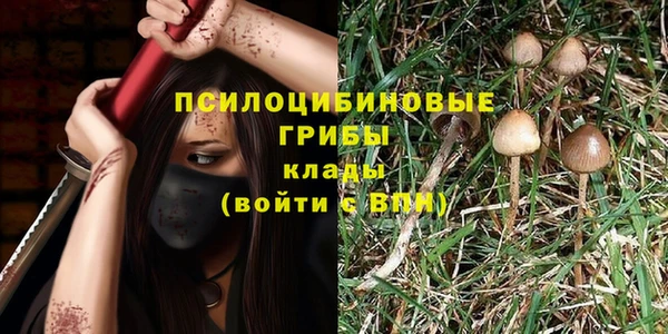 ешки Майский