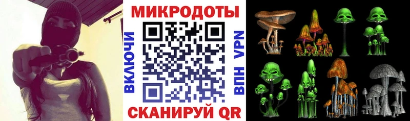 Купить  Тутаев  Псилоцибиновые грибы MAGIC MUSHROOMS 