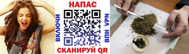Купить где  Тутаев  Марихуана сатива 